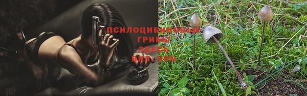 винт Зеленокумск