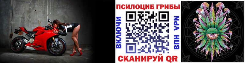 что такое наркотик  Змеиногорск  Псилоцибиновые грибы Cubensis 